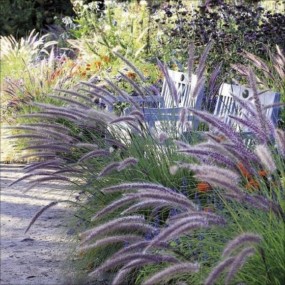 Ημερολόγιο Τοίχου 2025 Gartenträume image 9