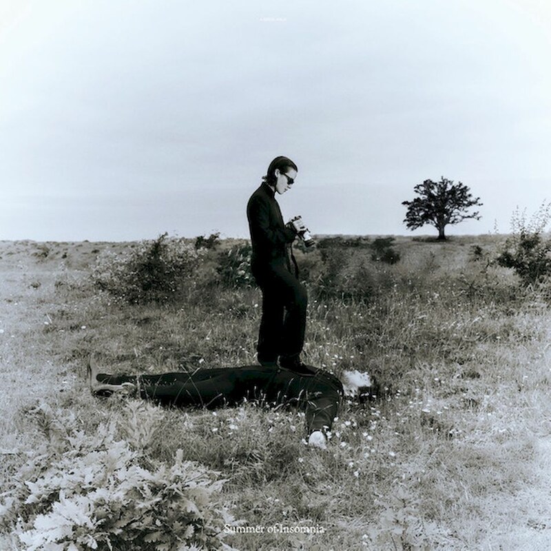 Summer Of Insomnia (12 Transparent Grey Vinyl)