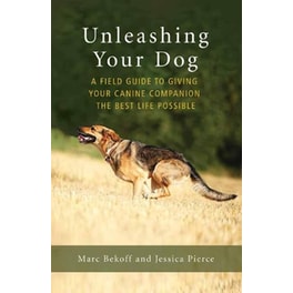 Unleashing Your Dog
