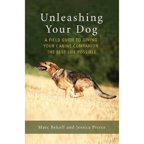 Unleashing Your Dog image 0