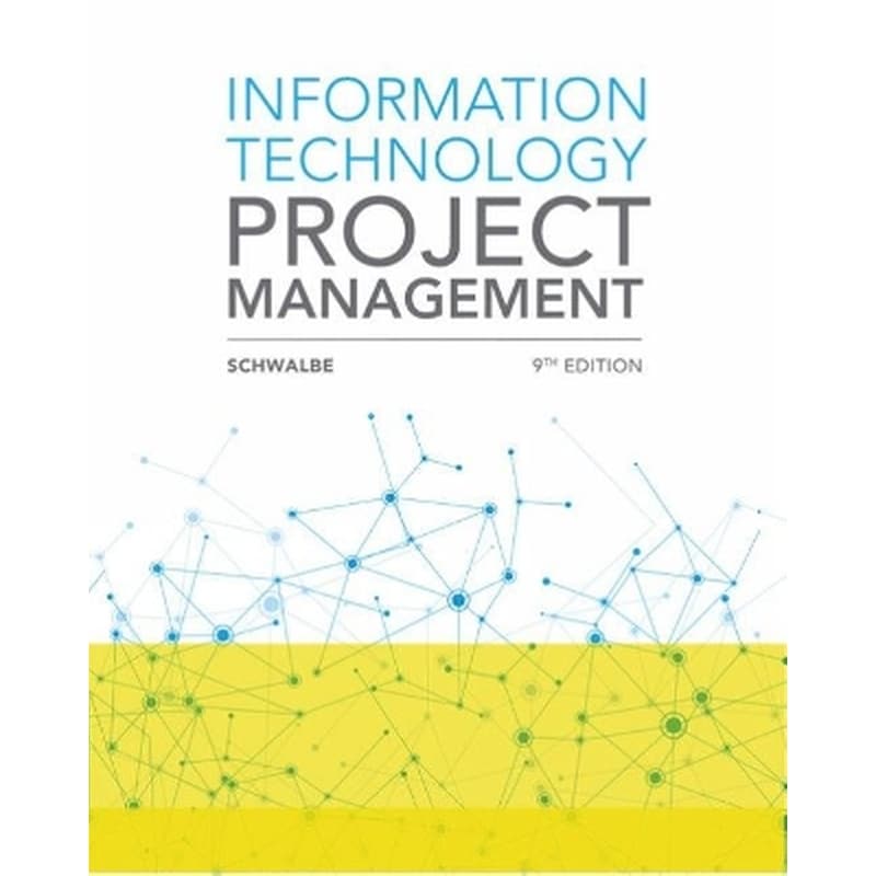 Information Technology Project Management