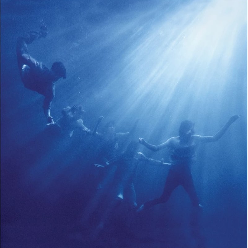 Total Life Forever (LP)