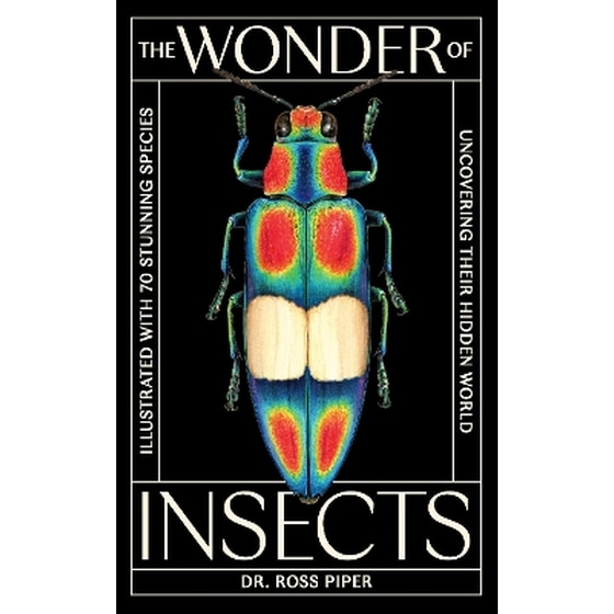 The Wonder of Insects: Uncovering their Hidden World image 0