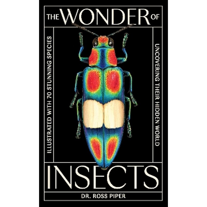 The Wonder of Insects: Uncovering their Hidden World