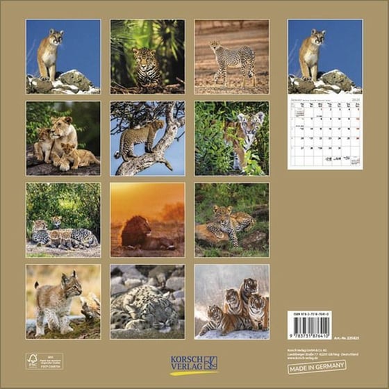 Ημερολόγιο Τοίχου 2025 Big Cats image 13