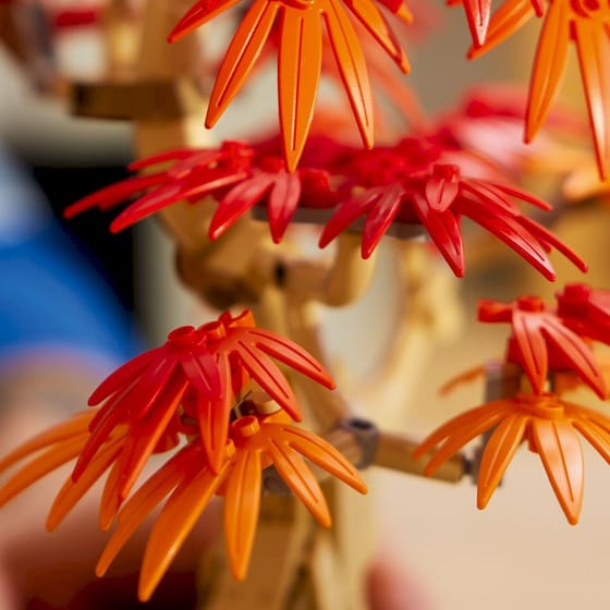 LEGO® Botanicals Japanese Red Maple Bonsai Tree (10348) image 4