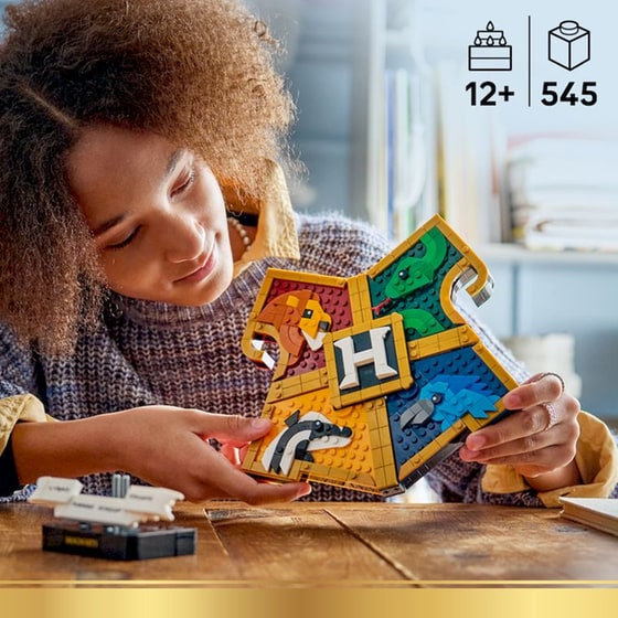 LEGO® Harry Potter™ Θυρεός Κοιτώνων του Χόγκουαρτς (76462) image 8