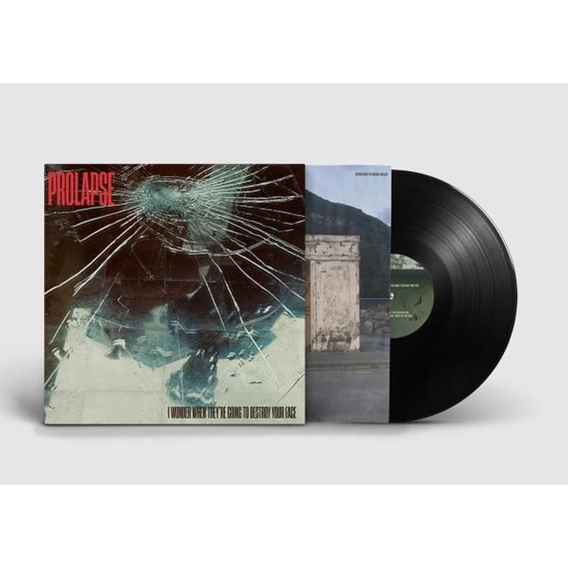 I Wonder When Theyre Going To Destroy Your Face (LP)