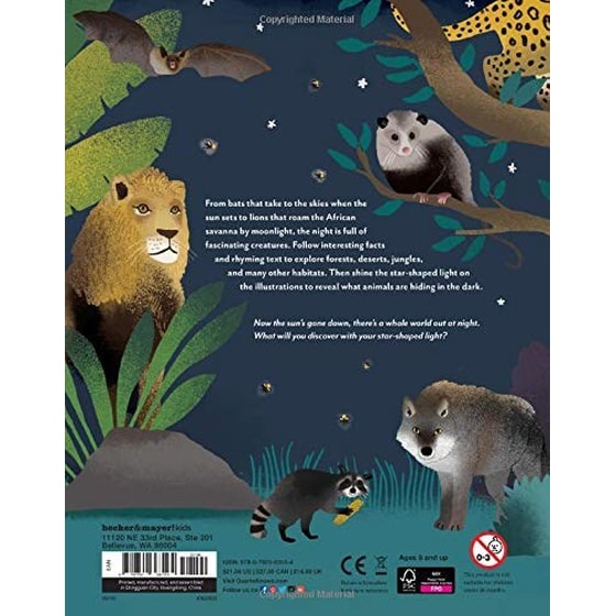What Can You See - Animals in the Night image 1