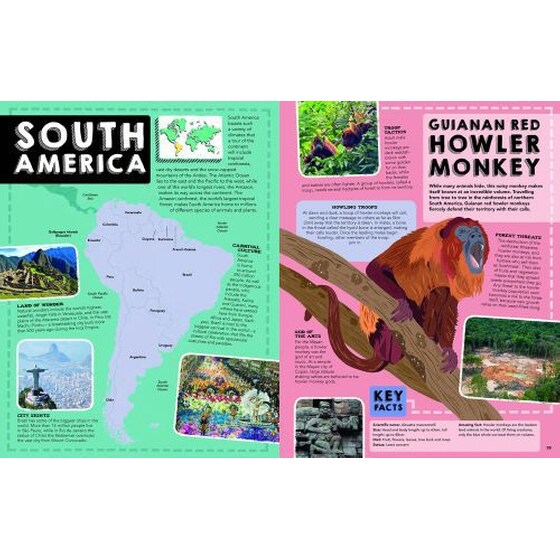Animal Book image 3