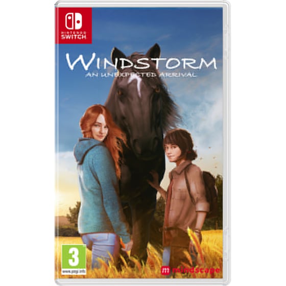 Windstorm: An Unexpected Arrival - Nintendo Switch image 0