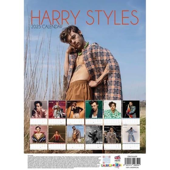Ημερολόγιο Μηνιαίο 2025 Harry Styles image 1