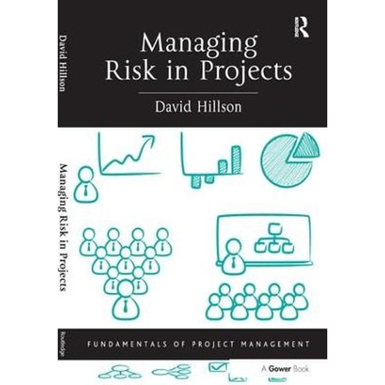 Managing Risk in Projects image 0