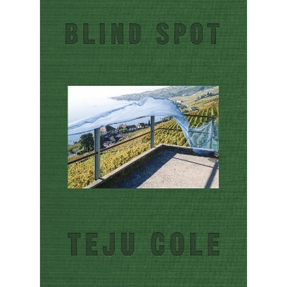 Blind Spot image 0