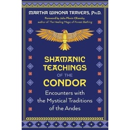 Shamanic Teachings of the Condor