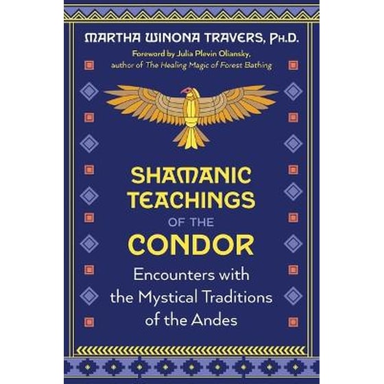 Shamanic Teachings of the Condor image 0
