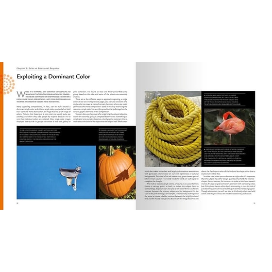 The Photographer's Master Guide to Colour image 1