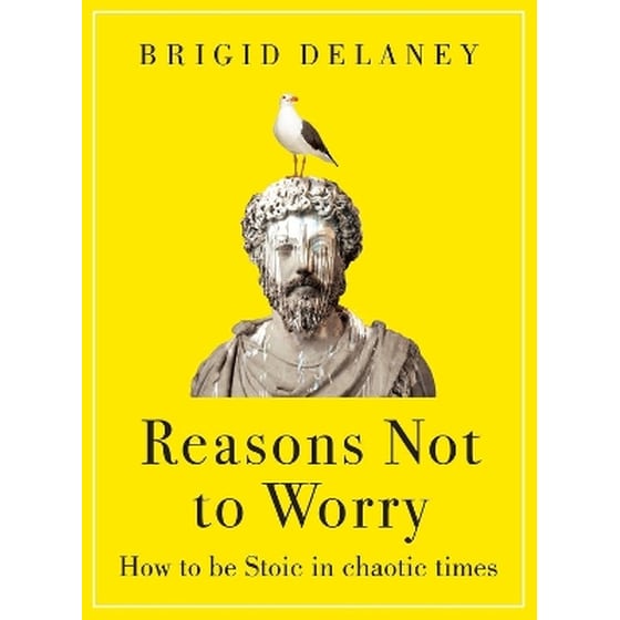 Reasons Not to Worry image 0