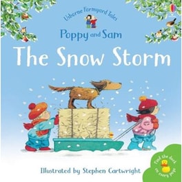 Snow Storm