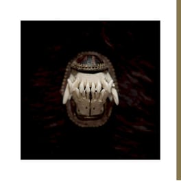 De Toorn (LP)