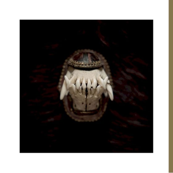 De Toorn (LP) image 0