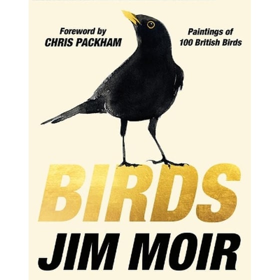 Birds image 0