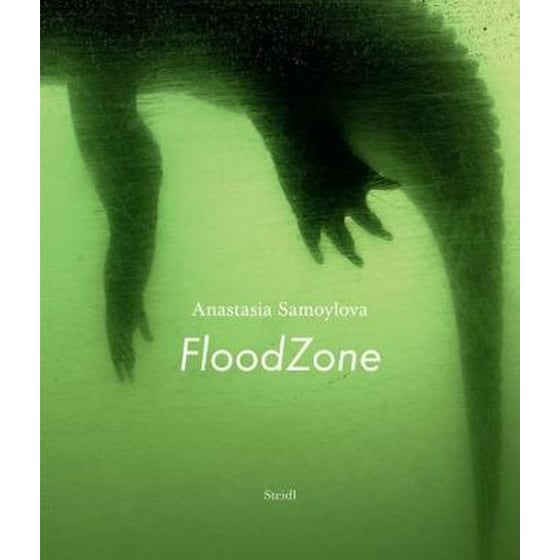 Anastasia Samoylova: FloodZone image 0