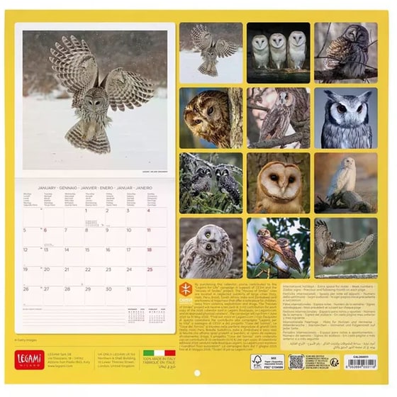 Ημερολόγιο Τοίχου Legami 2026 Outstanding Owls 30x29cm image 2