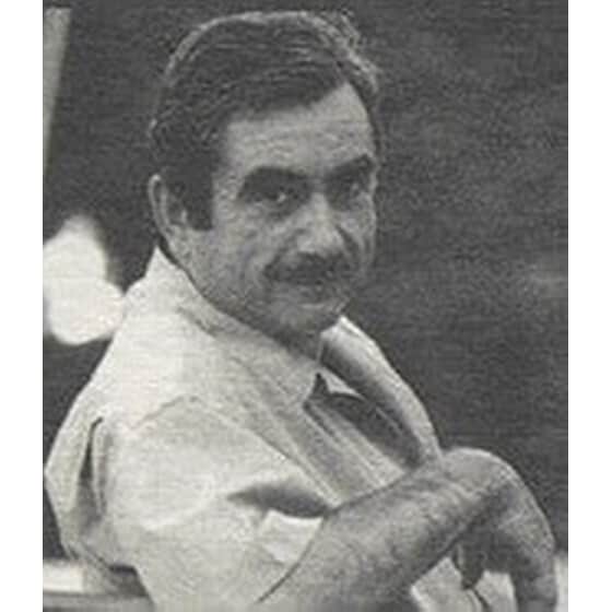 Ο Πολωνός ιππέας image 1