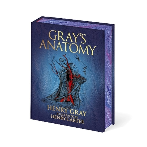 Gray's Anatomy image 0