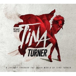 Many Faces Of Tina Turner