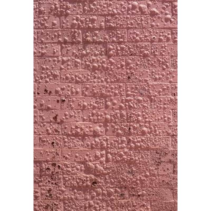 Californian Wildflowers