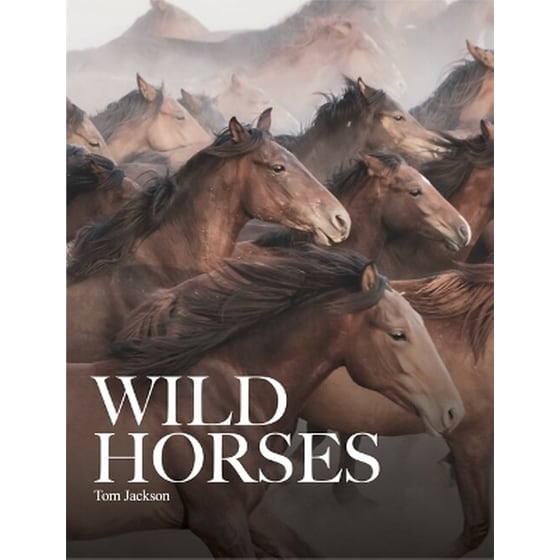Wild Horses image 0