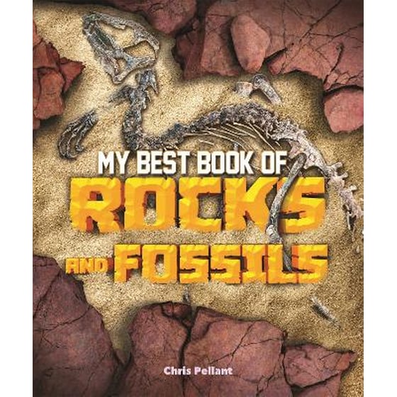 My Best Book of Rocks and Fossils image 0