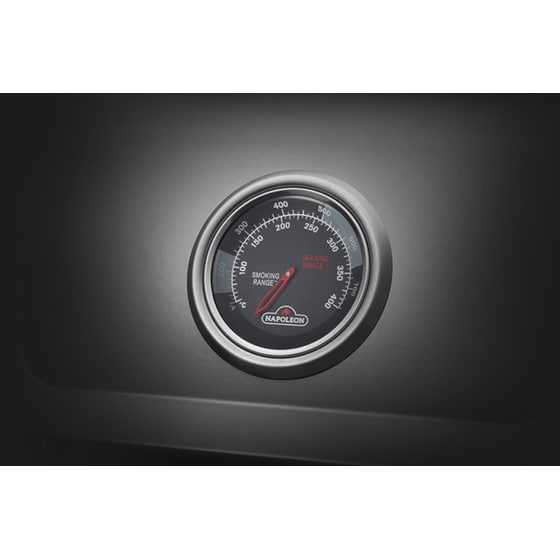 NAPOLEON F425SBPGT-GR 16.6kW Ψησταριά Υγραερίου image 1