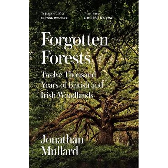 Forgotten Forests image 0