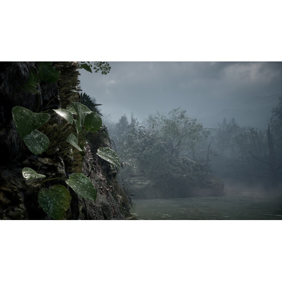 Metal Gear Solid Delta: Snake Eater Day One Edition - Xbox Series X image 6
