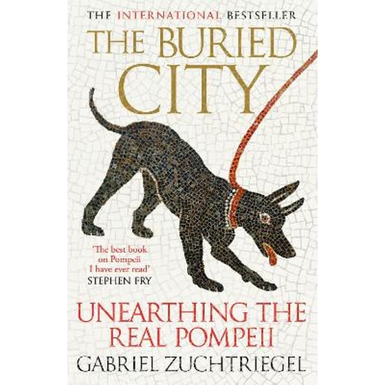 The Buried City image 0