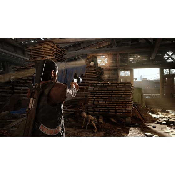 Days Gone - PS4 image 5