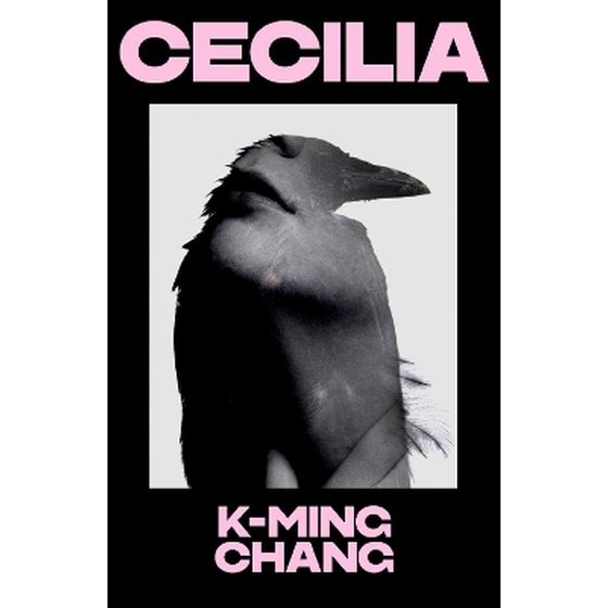 Cecilia image 0