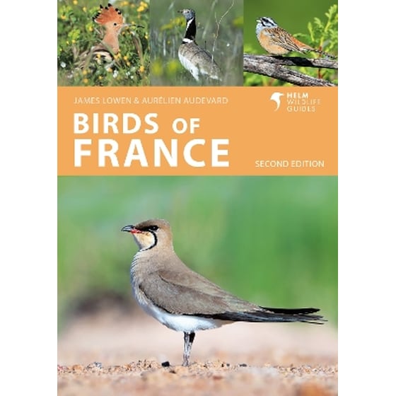 Birds of France image 0