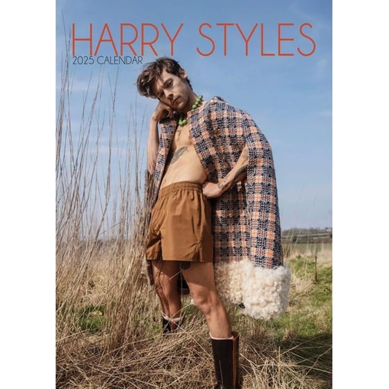 Ημερολόγιο Μηνιαίο 2025 Harry Styles image 0