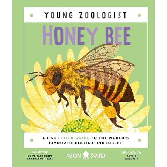 Honey Bee (Young Zoologist) image 0