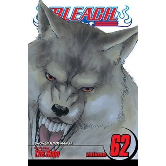 Bleach, Vol. 62 image 0