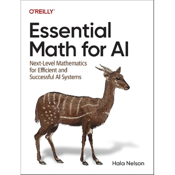 Essential Math for AI image 0