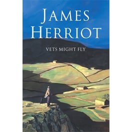 Vets Might Fly