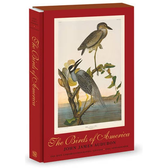 Birds of America image 0
