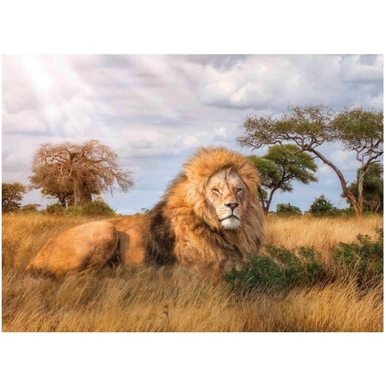 Παζλ Clementoni High Quality Ο Βασιλιάς (1000 Κομμάτια) image 1