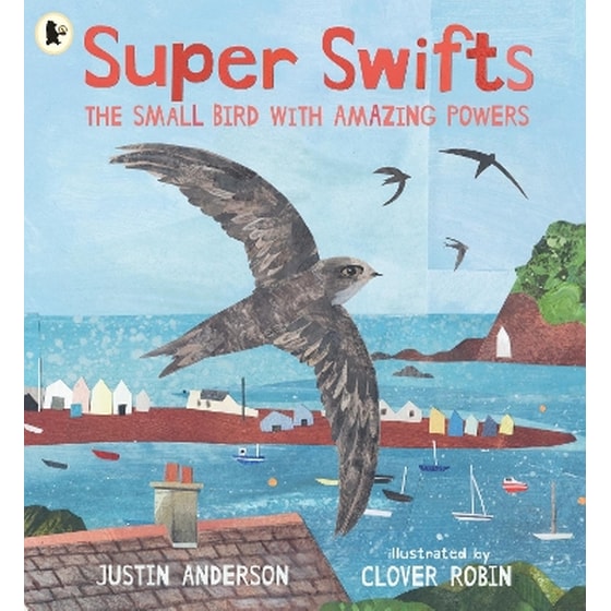 Super Swifts: The Small Bird With Amazing Powers image 0