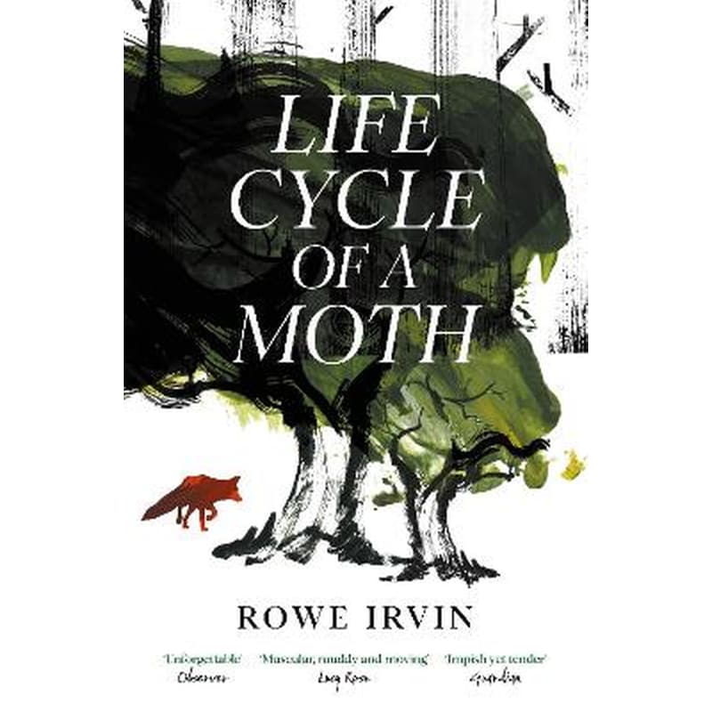 Life Cycle of a Moth